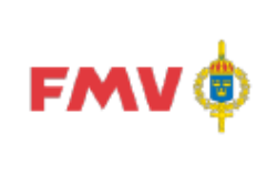 FMV